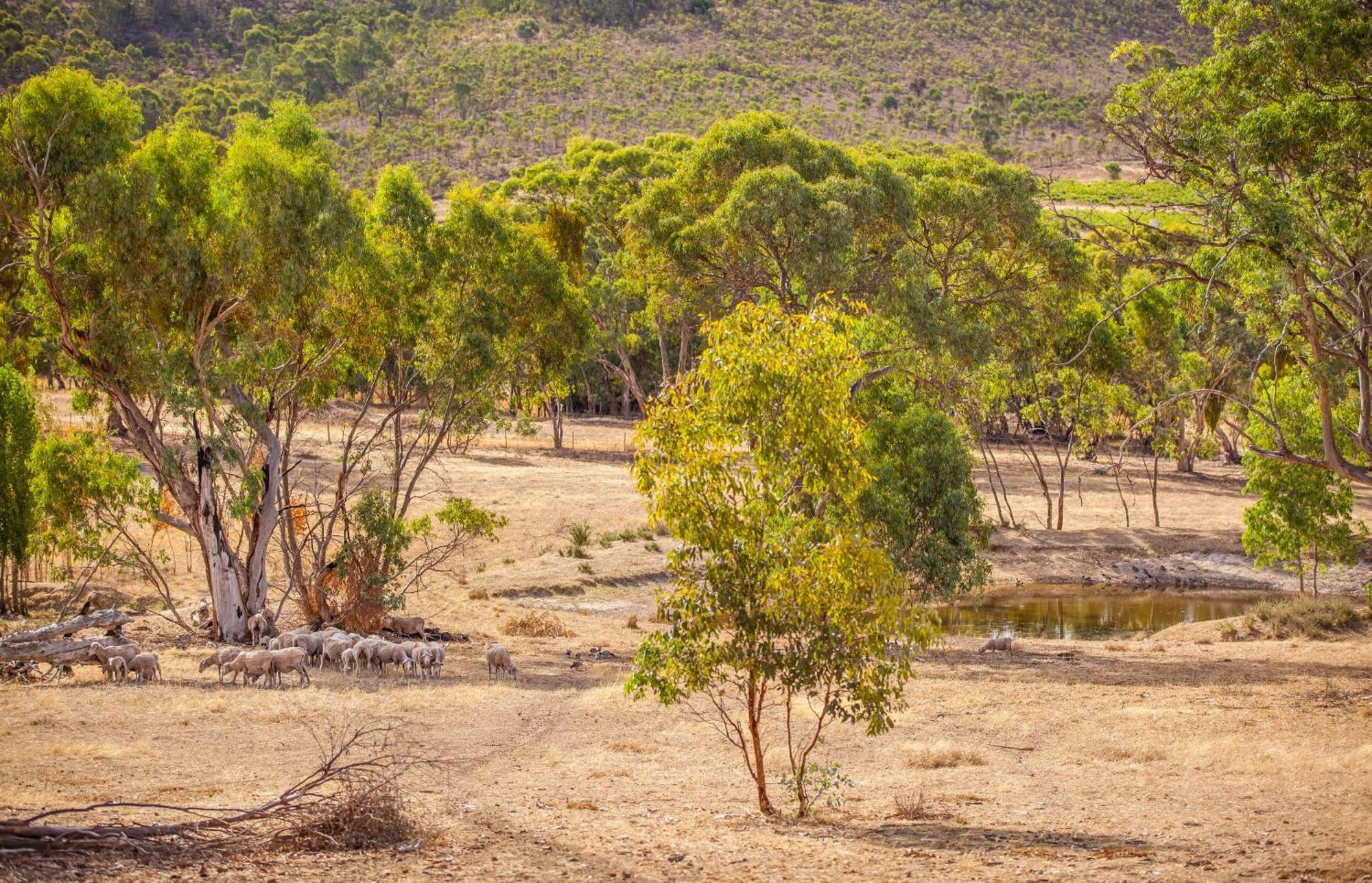 קלייר Neagles Retreat Villas חדר תמונה